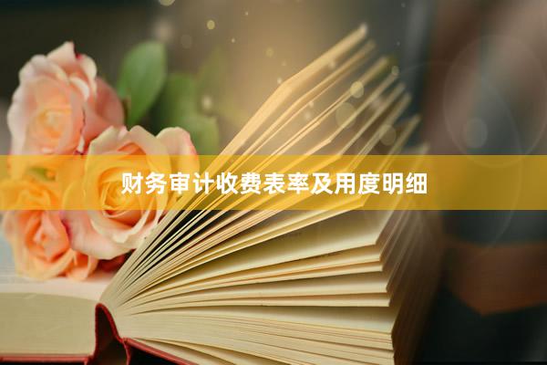 财务审计收费表率及用度明细